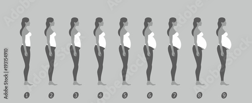  stages of changes in a woman's body in pregnancy on gray background