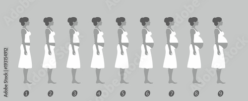  stages of changes in a woman's body in pregnancy on gray background