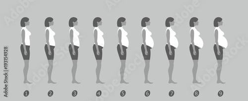  stages of changes in a woman's body in pregnancy on gray background