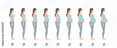  stages of changes in a woman's body in pregnancy on white background