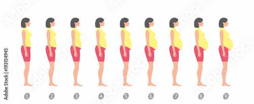  stages of changes in a woman's body in pregnancy on white background