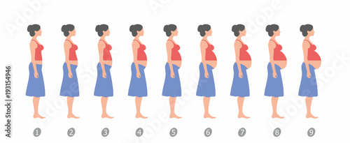  stages of changes in a woman's body in pregnancy on white background