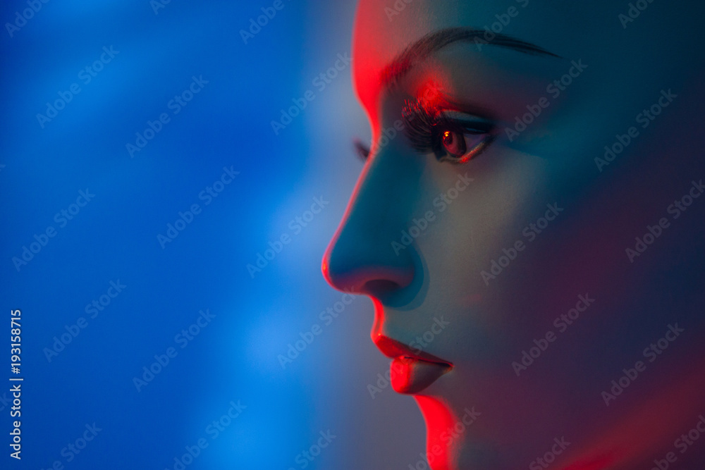 Portrait of a mannequin woman. Artificial face. Profile of a woman’s