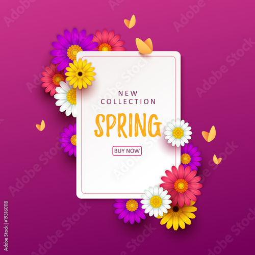 Colorful spring background with beautiful flowers. Vector illustration
