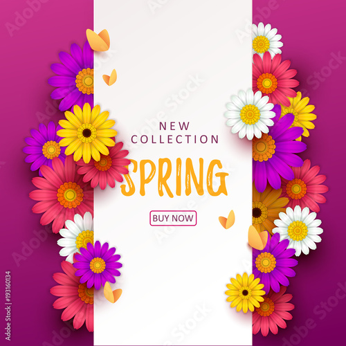Colorful spring background with beautiful flowers. Vector illustration