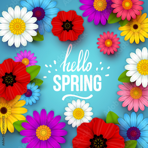 Colorful spring background with beautiful flowers. Vector illustration