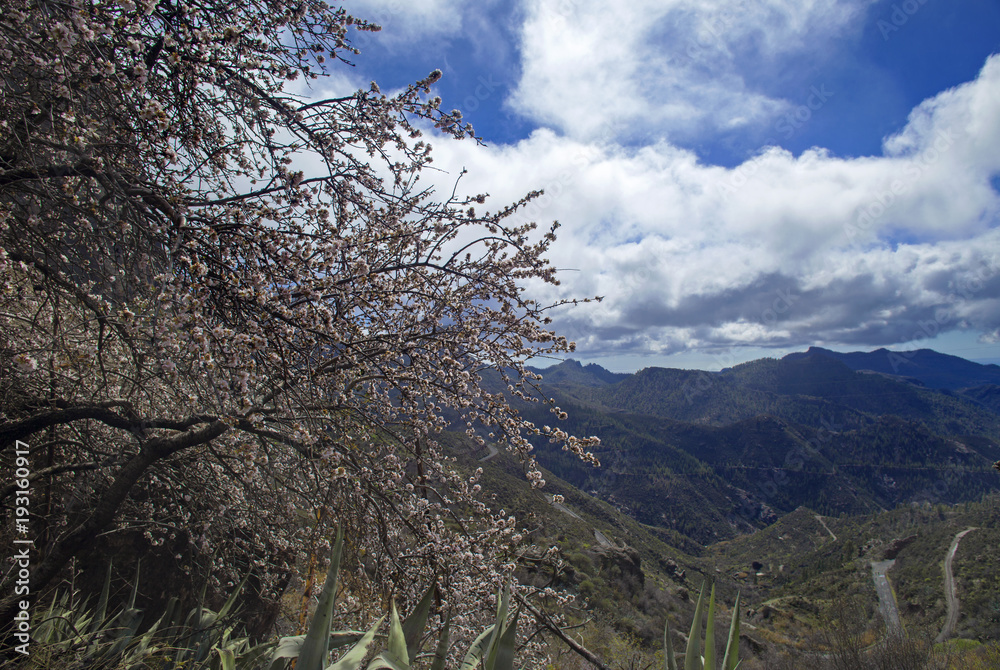 Gran Canaria, february 2018