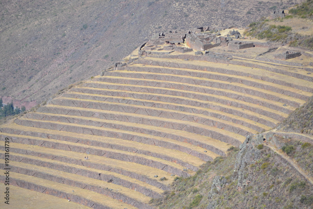 agriculture inca