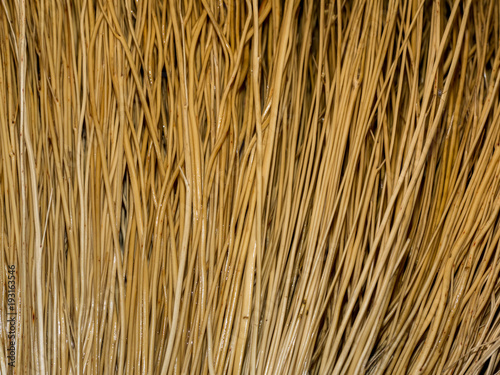 Background of dried grass stems. Texture of dry straw rods