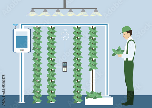 Vertical greenhouse gardens. Growing micro greens.  Smart farm with wireless control. Vector illustration.