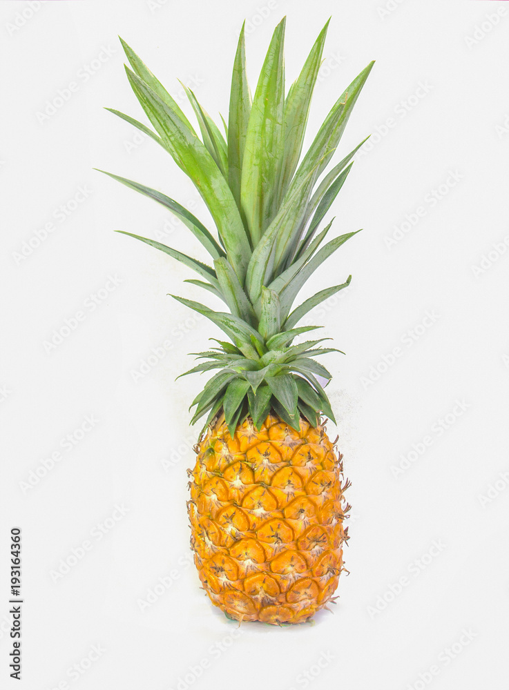 Ripe Pineapple isolated on white background. Ripe Pineapple isolated on white background.