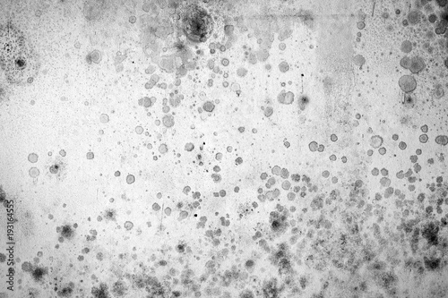 Dirty, stained and worn wall with mold spots in black and white photo