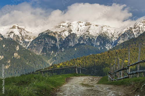 фотографія Spring alpine landscape with green fields and high snowy mountains,Bran,Transylv