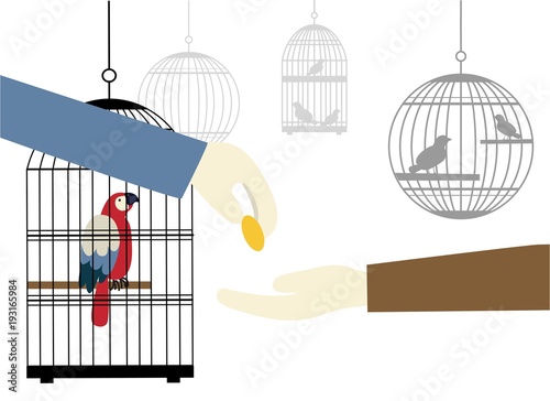 Selling birds in market, many birds and cages