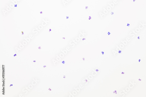 Pattern from little violet flowers on white background