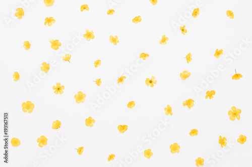 Field buttercups pattern on white background, flat lay