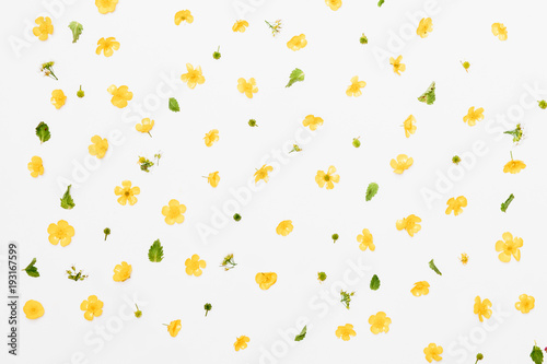 Fototapeta Naklejka Na Ścianę i Meble -  Yellow field flowers with green leaves pattern on white background, flat lay