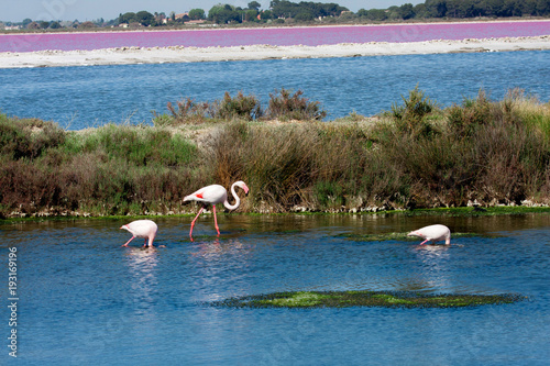 Tableau sur toile salt lake