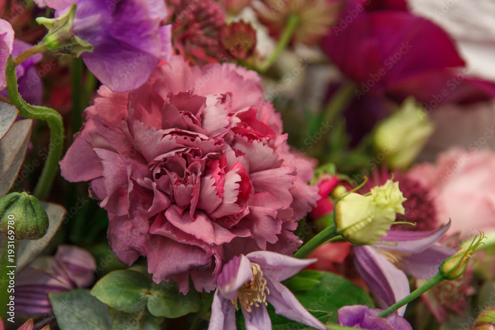 Red flower carnation in bouquet closeup. Flowers background Red flower carnation in bouquet closeup. Flowers background