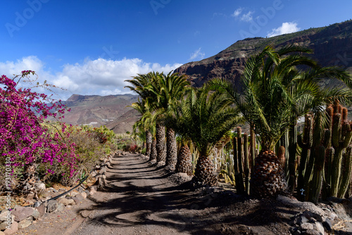 Cactualdea Park, Gran Canaria photo