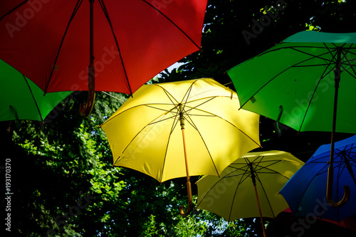 Colored umbrella  1