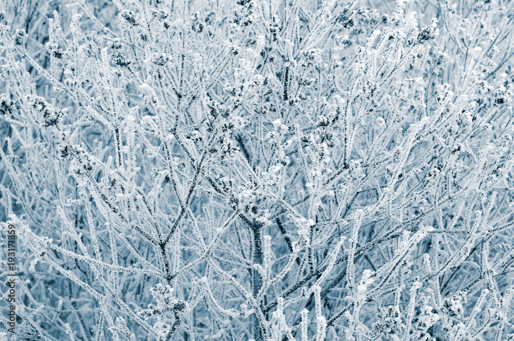 background of a branch covered with snow background of a branch covered with snow