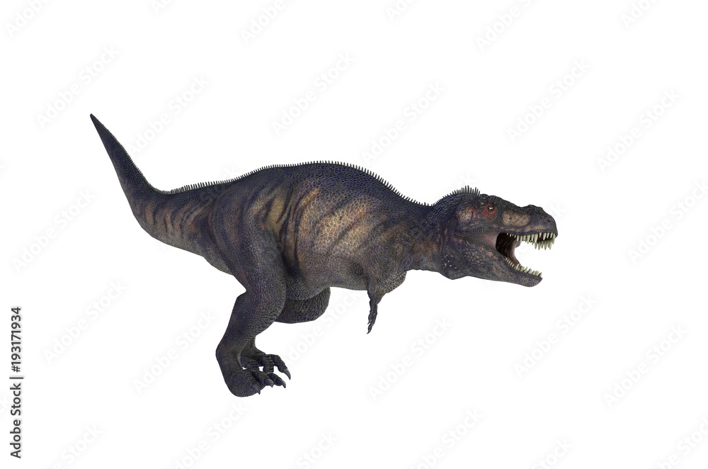 3D Illustration of a Dinosaur Tyrannosaurus Rex on white background 3D Illustration of a Dinosaur Tyrannosaurus Rex on white background