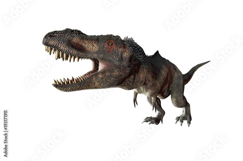 3D Illustration of a Dinosaur Tyrannosaurus Rex on white background