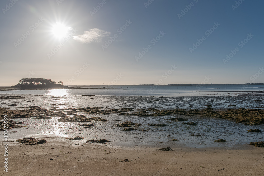 Morbihan gulf, in Brittany, panorama of low tide beach in back-light, in winter, sunny day
