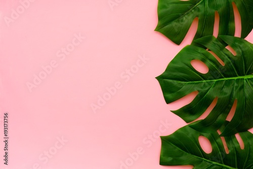 Tropical palm leaves on a light pink background. Side border. Minimal nature. Flat lay. Top view.
