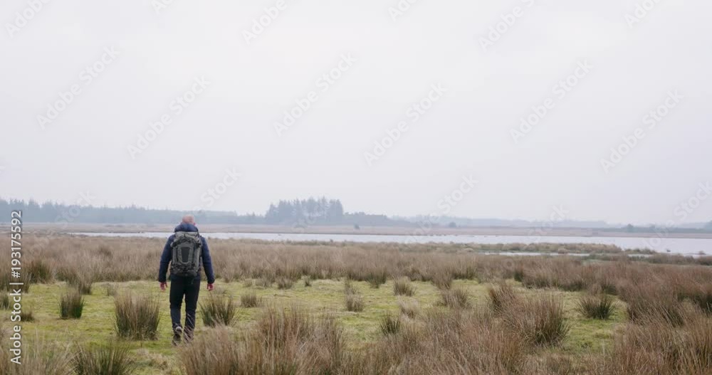 man traveling and hiking in nordic nature by lakes and in forest man traveling and hiking in nordic nature by lakes and in forest