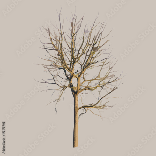 vector illustration of dead tree. Halloween concept