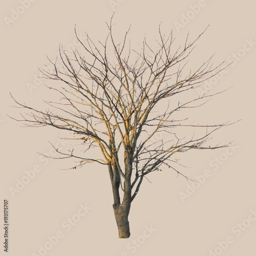 vector illustration of dead tree made in hand drawn style. Halloween concept