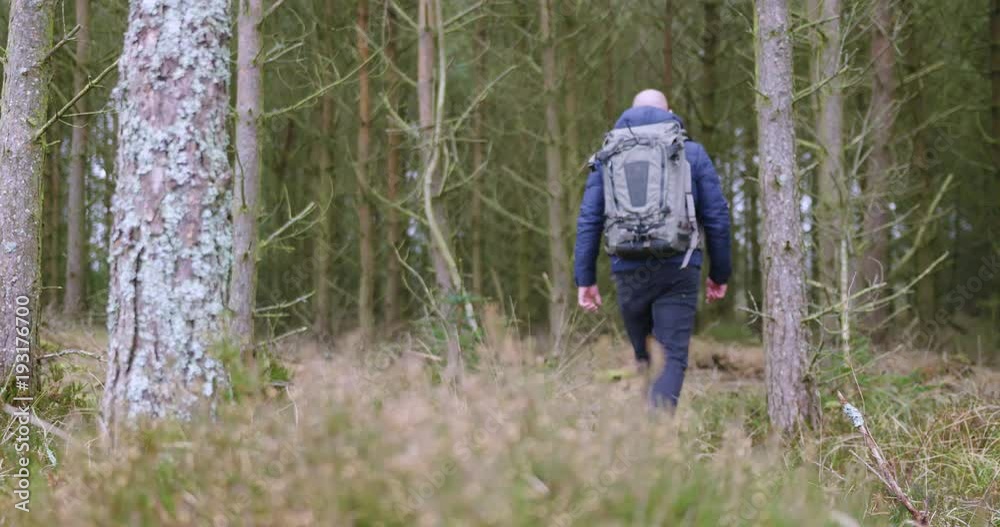 man traveling and hiking in nordic nature by lakes and in forest man traveling and hiking in nordic nature by lakes and in forest