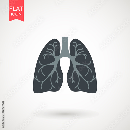 Lungs Icon isolated on white background. vector illustration. Human organ symbol