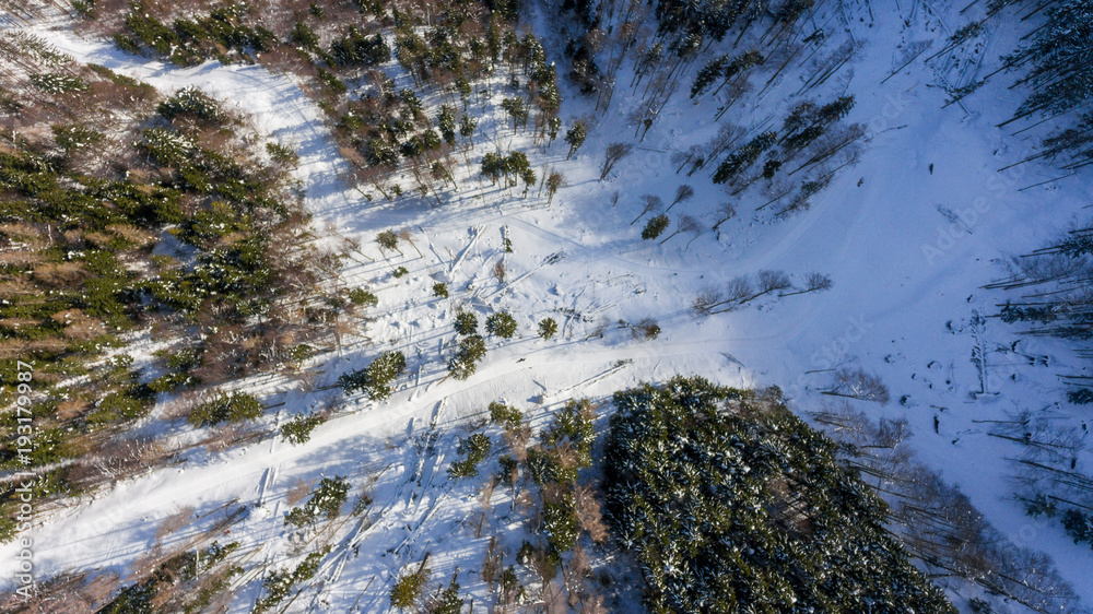 Drop down view of road going through winter forest.