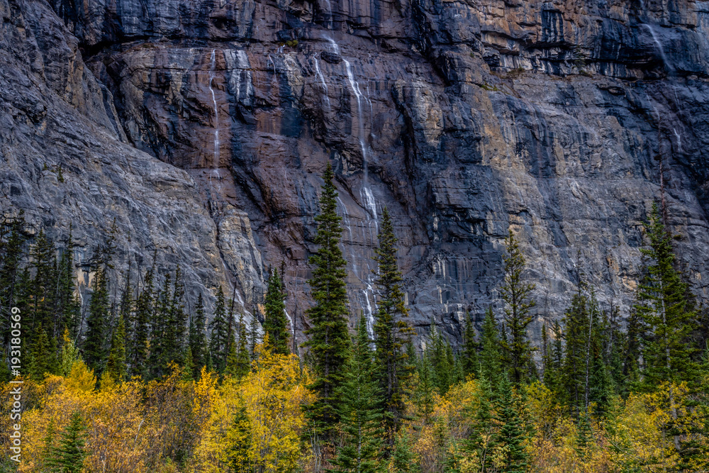 Weeping wall, Banff National Park, Alberta, Canada