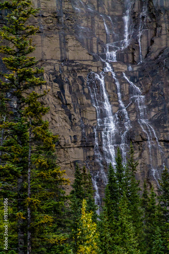 Weeping wall  Banff National Park  Alberta  Canada