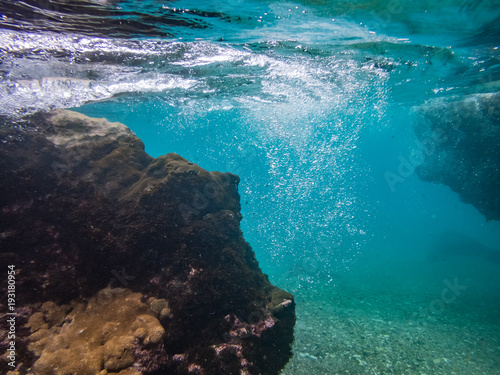  Underwater at Westpunt  Curacao Views © Gail Johnson