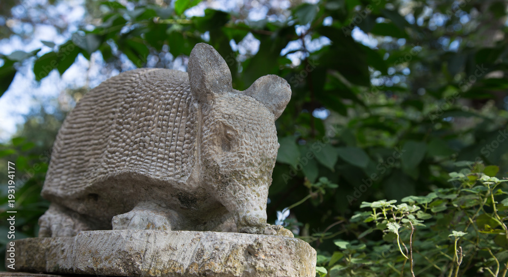 Obraz premium Garden Armadillo