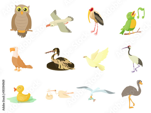 Birds icon set, cartoon style