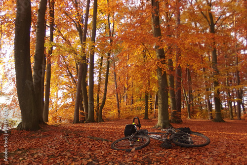 Jesienna wycieczka rowerowa photo
