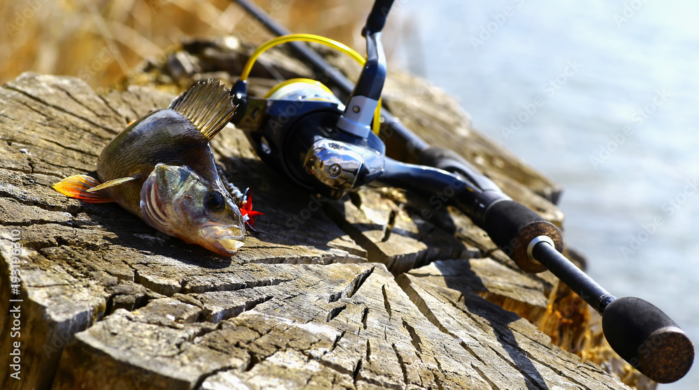 Obraz premium fish with a fishing rod