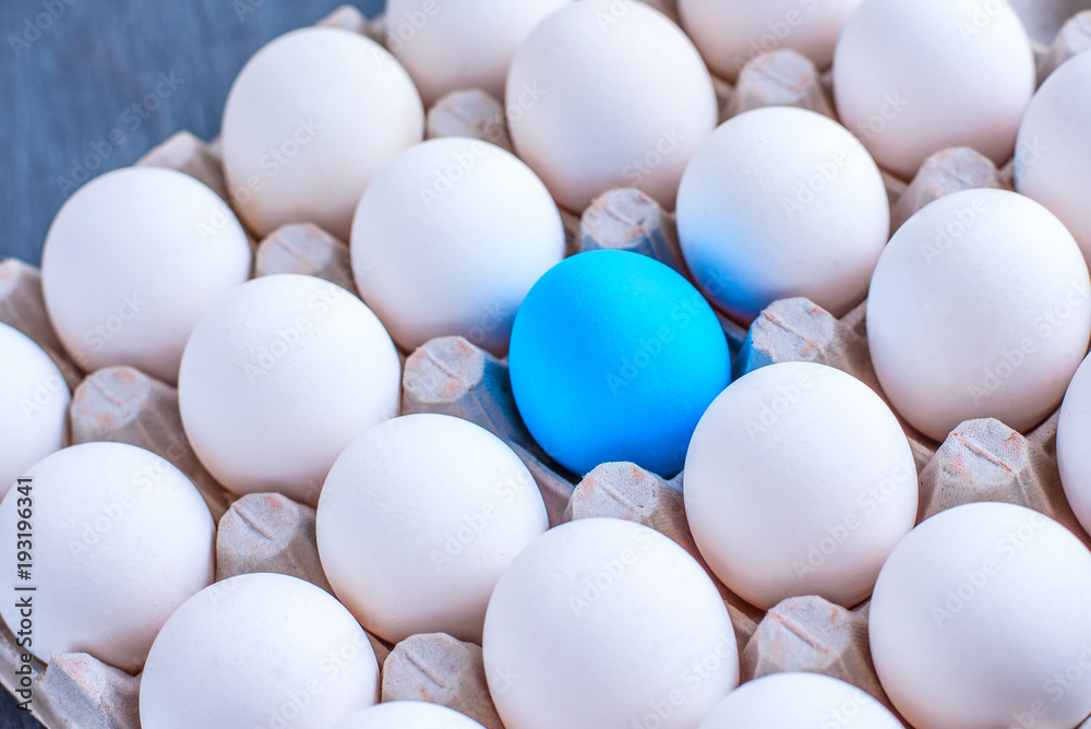 Blue egg among white eggs in a cardboard box Blue egg among white eggs in a cardboard box