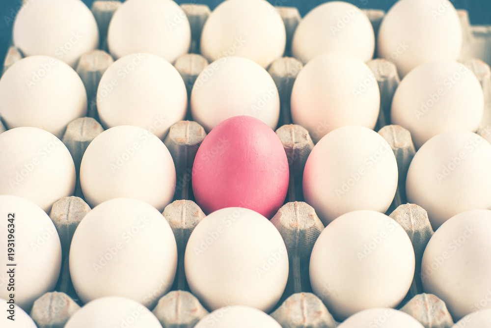 Pink egg among white eggs in a cardboard box Pink egg among white eggs in a cardboard box