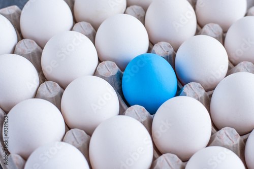 Blue egg among white eggs in a cardboard box