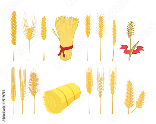 Wheat icon set, cartoon style