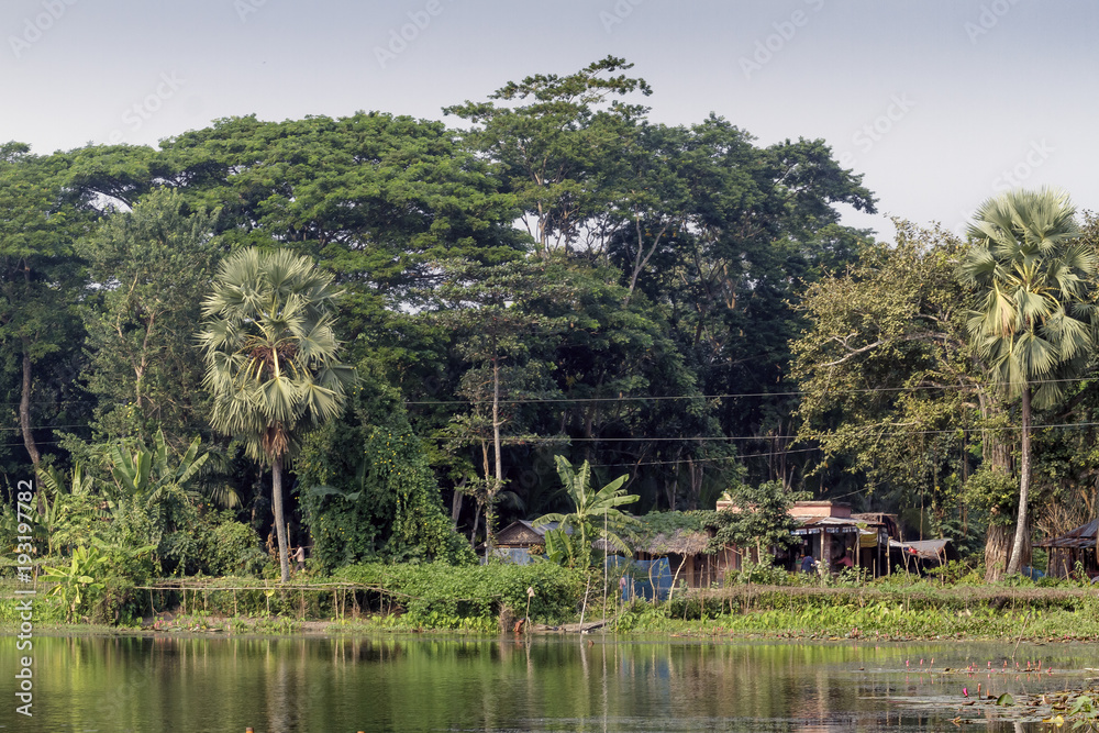 Village in Bangladesh.
