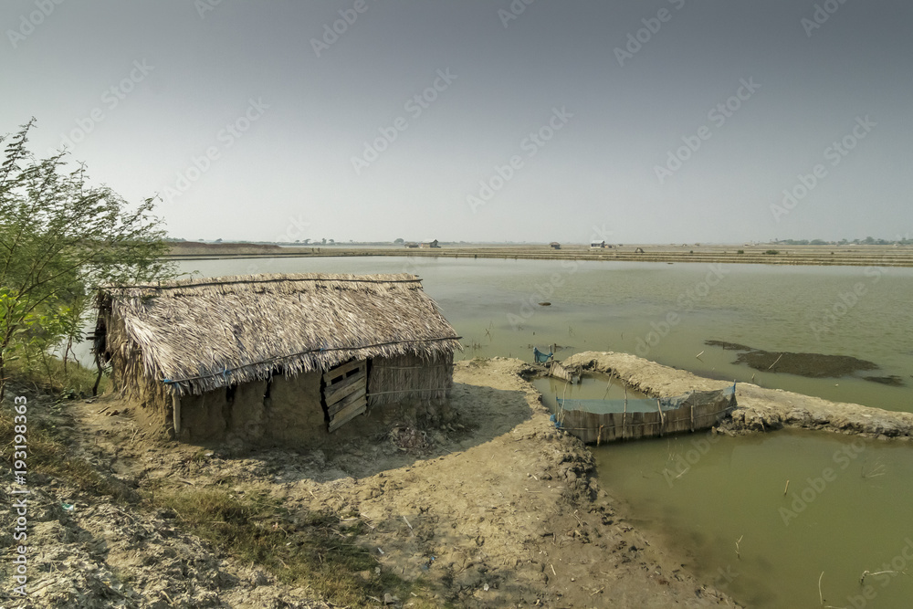 Village in Sundarbans in Bangladesh