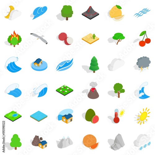 Forestation icons set, isometric style